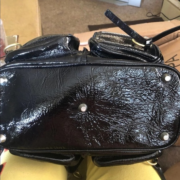 Chloe - Picture 6 of 6